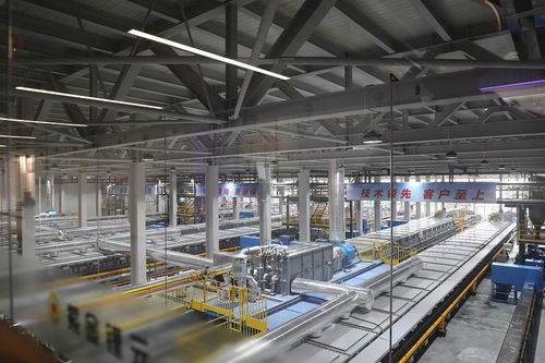 探秘新能源產(chǎn)業(yè)“超級工廠” 走進(jìn)福建紫金鋰元，解碼材料科技與創(chuàng)新動能